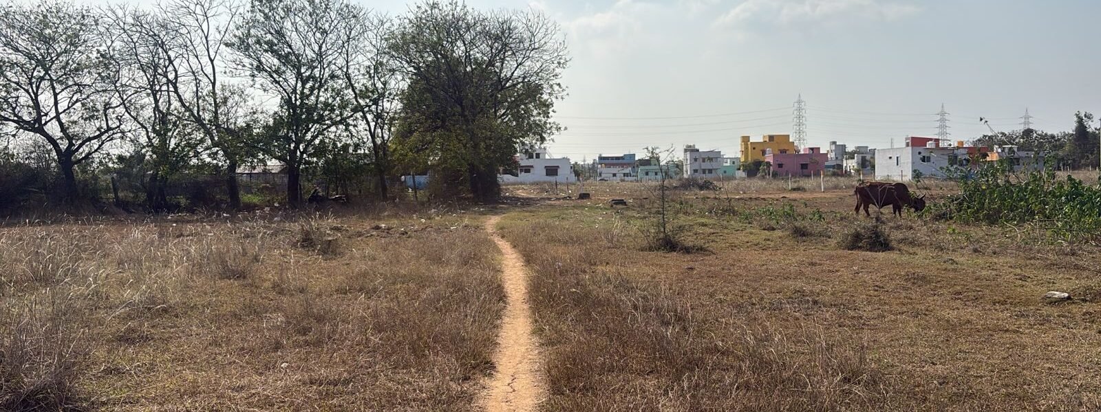 SITE 118 RAW 05 - Red Hills Chennai