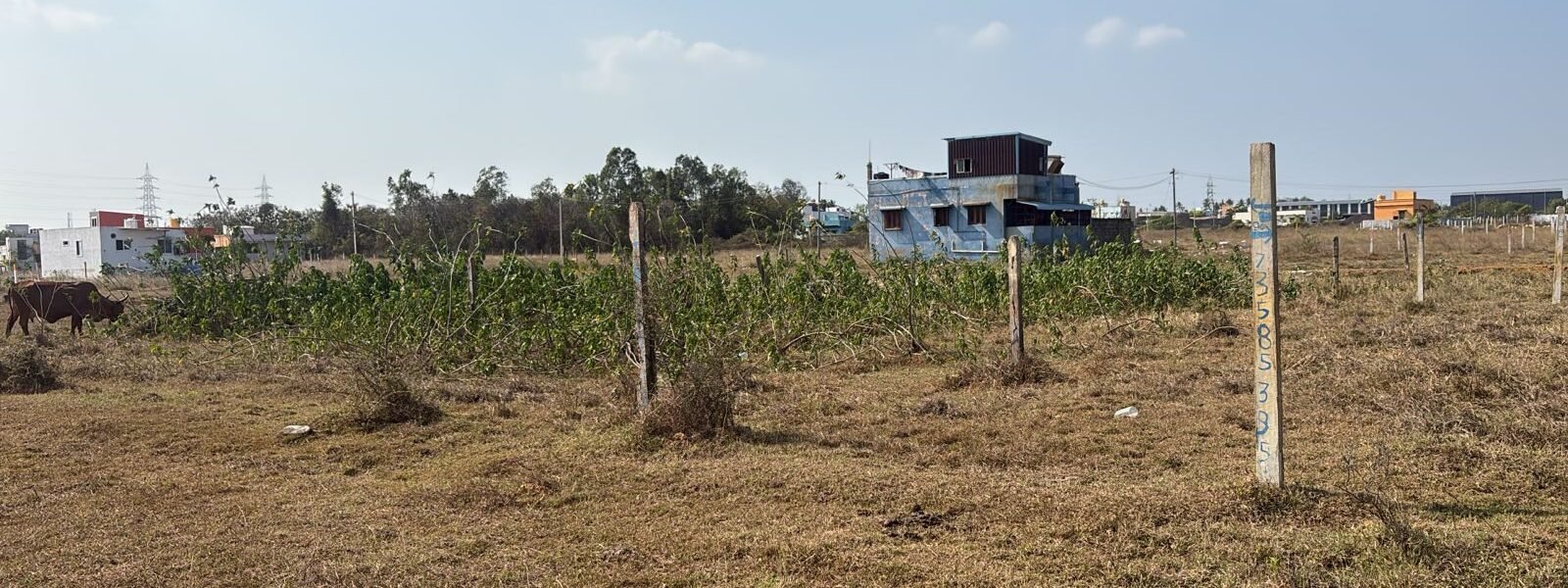 SITE 118 RAW 06 - Red Hills Chennai