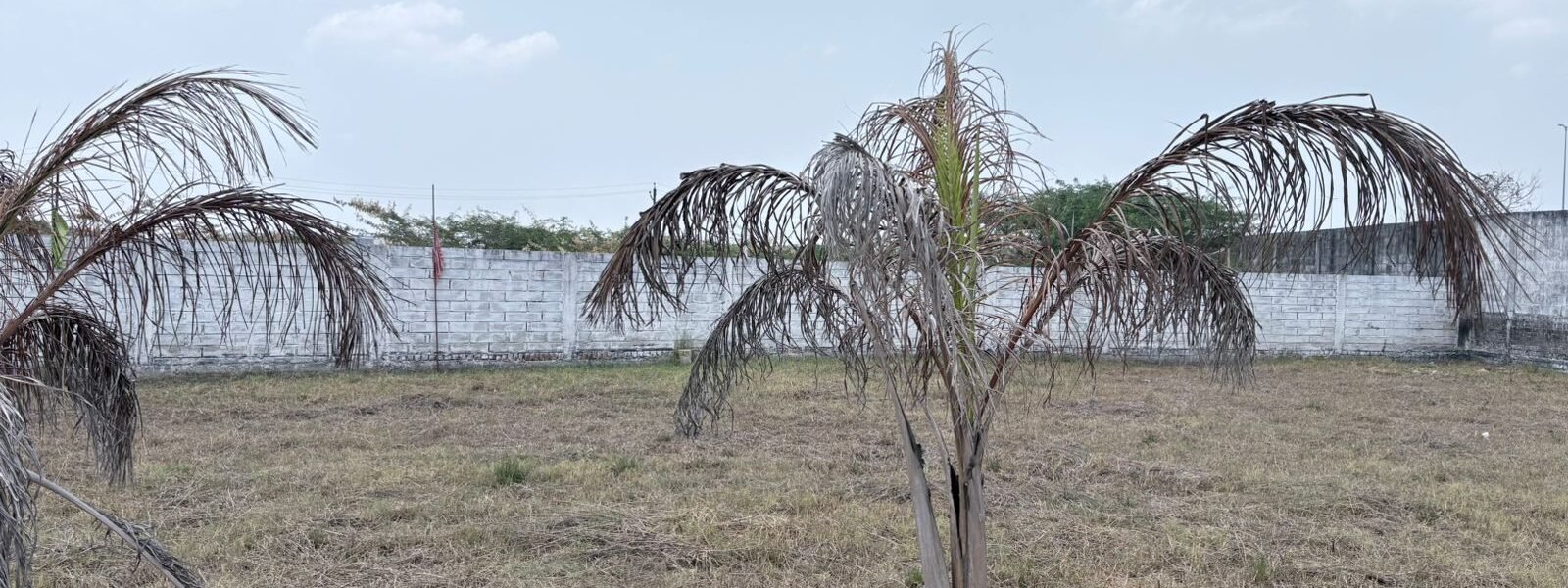 SITE 133 07 - Red Hills Chennai