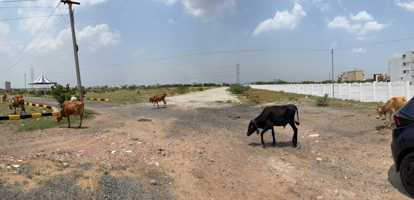 SITE 134 01 - Red Hills Chennai