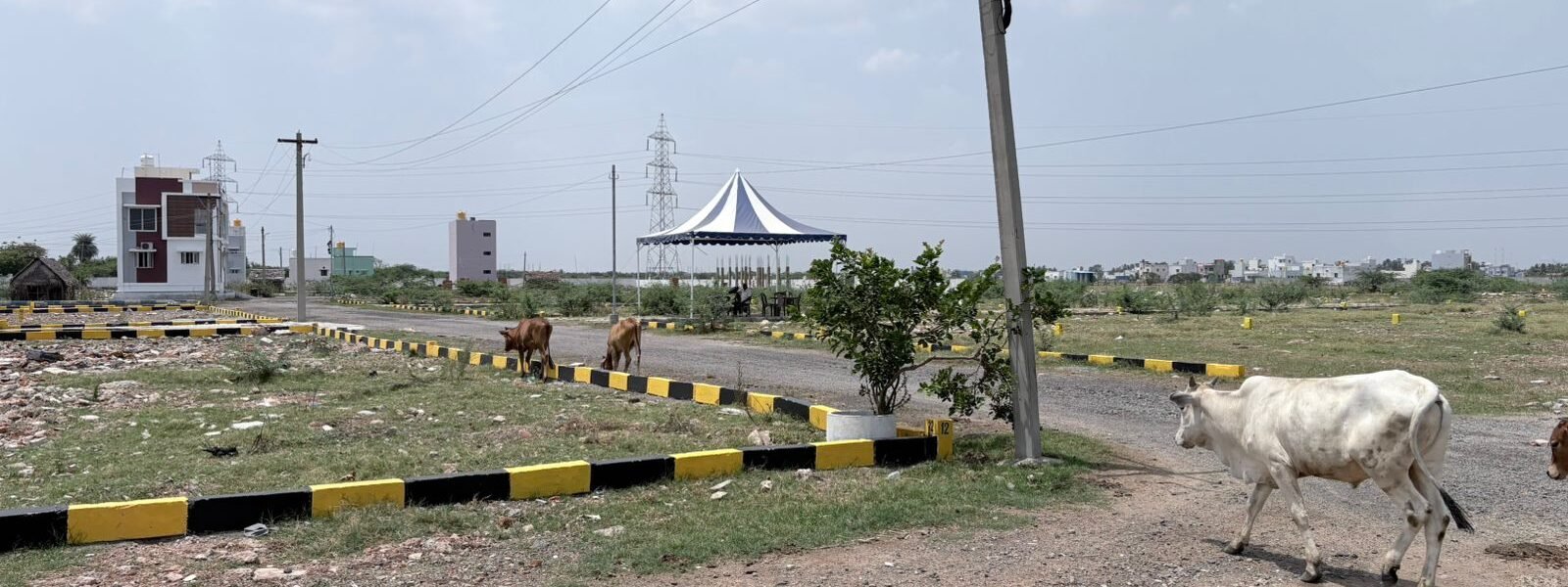 SITE 134 05 - Red Hills Chennai